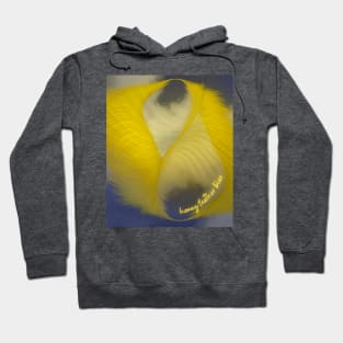 Honey feather bliss Hoodie